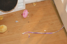 Cleaning work - Bromley, Orpington - Feline Cleaners Ltd - Room Cleaning work - Bromley, Orpington - Feline Cleaners Ltd - Room