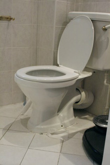 Cleaning jobs - Bromley, Orpington - Feline Cleaners Ltd - Bathroom Cleaning jobs - Bromley, Orpington - Feline Cleaners Ltd - Bathroom
